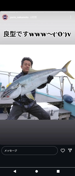 ヒラマサの釣果
