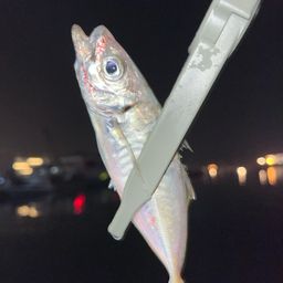 アジ
