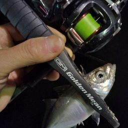 アジ