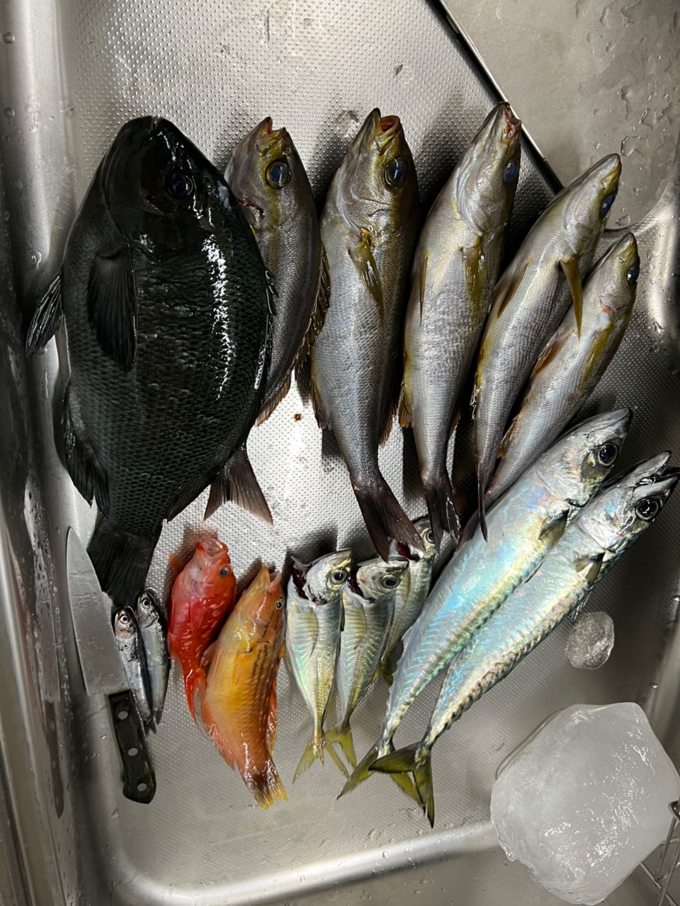 テキーラヨネザワさんの釣果 2枚目の画像