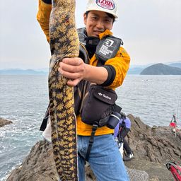 ウツボ