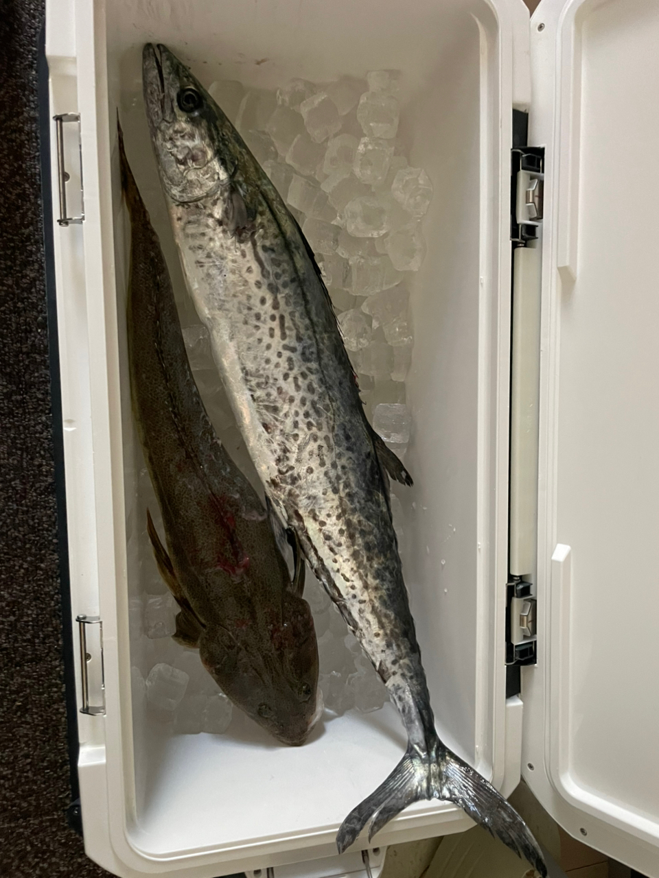 AbuGarcia オーシャンフィールド サワラキャスティング OFWS