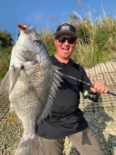 キチヌの釣果