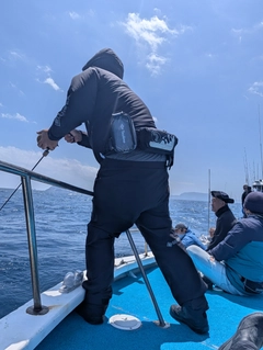 キハダマグロの釣果