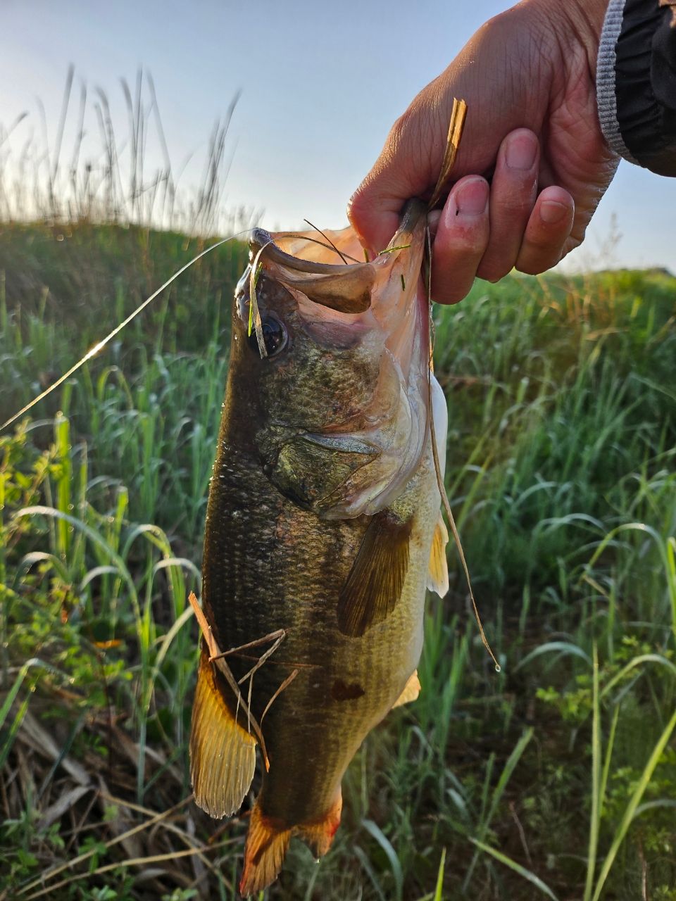 SHIMANO 18ポイズン アドレナ 2611MHの最安値・インプレ・釣果