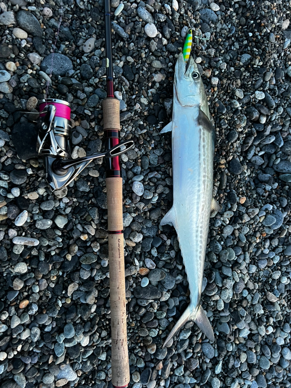 SHIMANO 19スコーピオン 2832RS-2の最安値・インプレ・釣果 SHIMANO 19スコーピオン 2832RS-2の最安値・インプレ・釣果