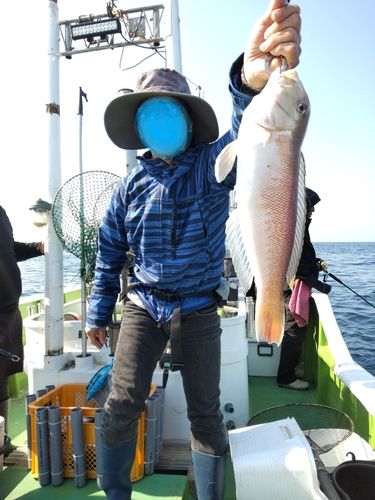 シロアマダイの釣果