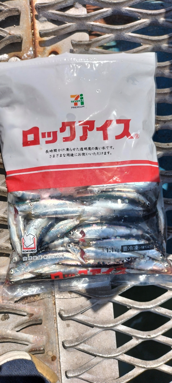 DAIWA オーバーゼア AGS 2021年モデルの最安値・インプレ・釣果 DAIWA オーバーゼア AGS 2021年モデルの最安値・インプレ・釣果