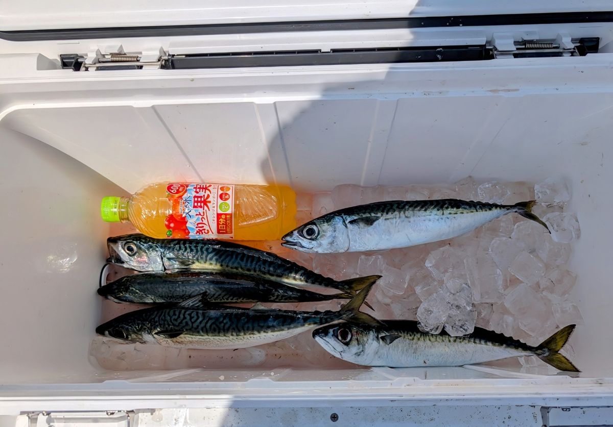 渓ドゥリーマーさんの釣果 2枚目の画像