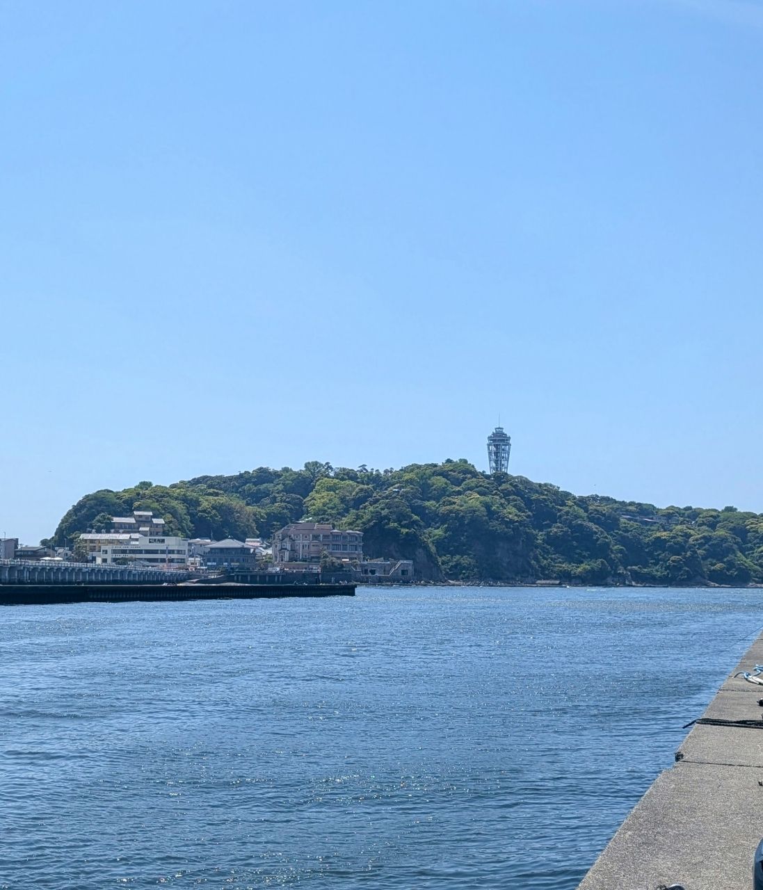 渓ドゥリーマーさんの釣果 3枚目の画像