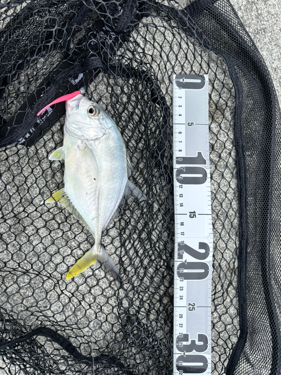 SHIMANO 23ルアーマチック (バス推奨モデル) S66Lの最安値
