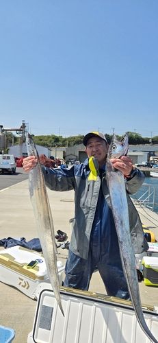 タチウオの釣果