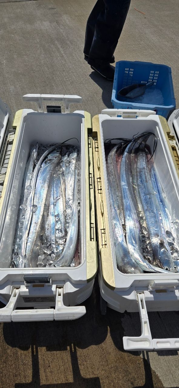 新政丸さんの釣果 3枚目の画像