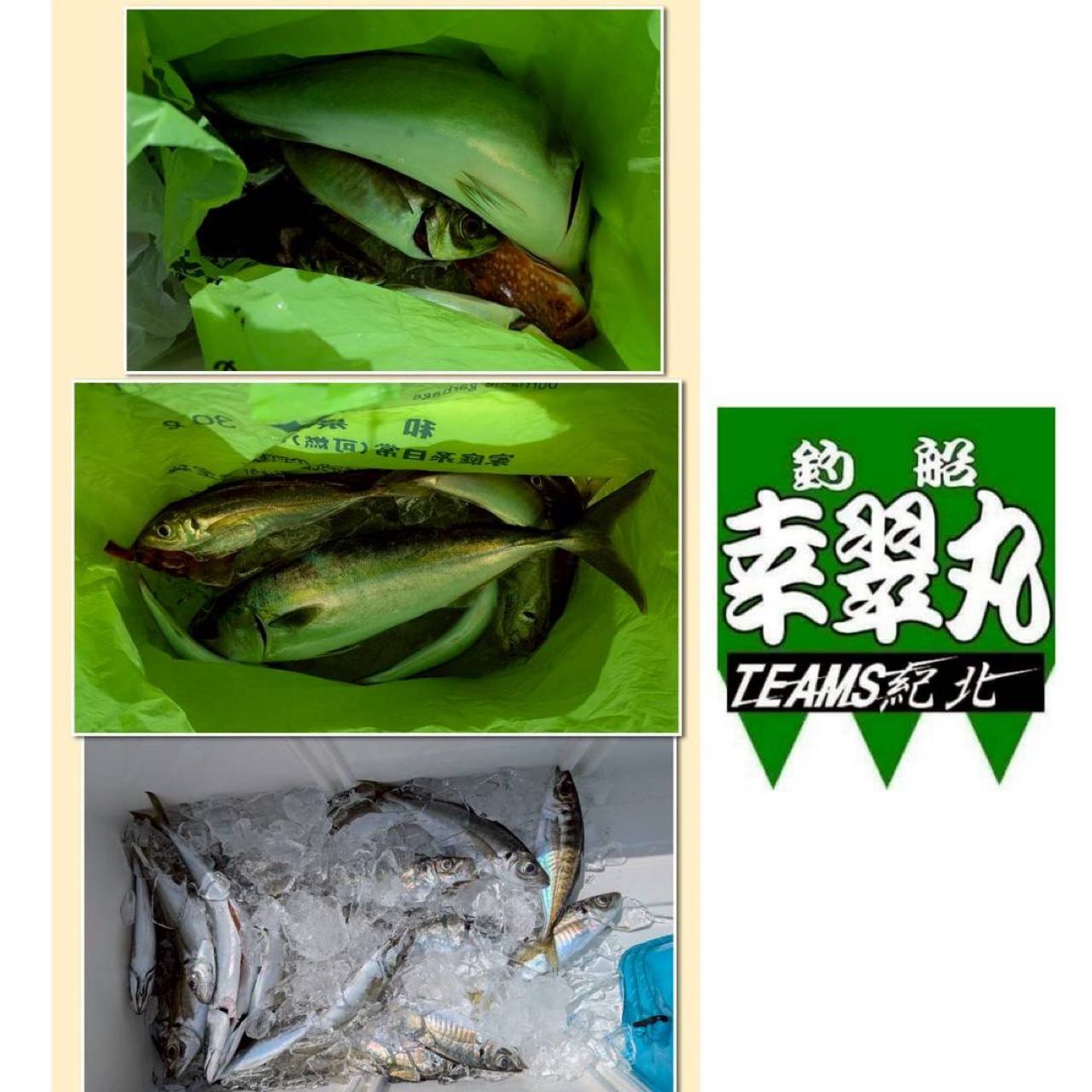アジ