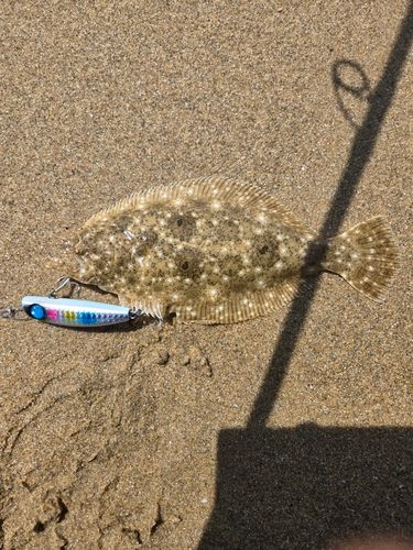 釣果