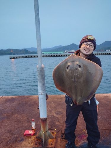 エイの釣果