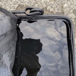 アジ