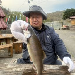ヤマメ