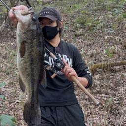 ラージマウスバス