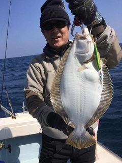 ヒラメの釣果