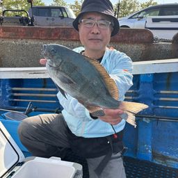 グレ