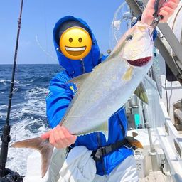 ヒレナガカンパチ