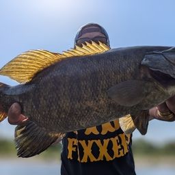 スモールマウスバス