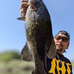 スモールマウスバス