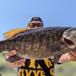 スモールマウスバス