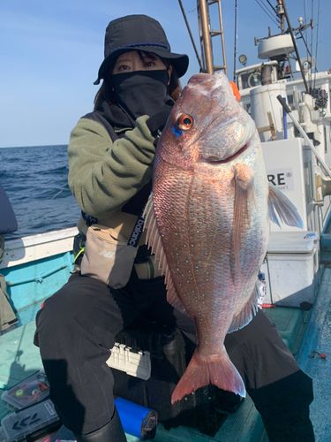 マダイの釣果