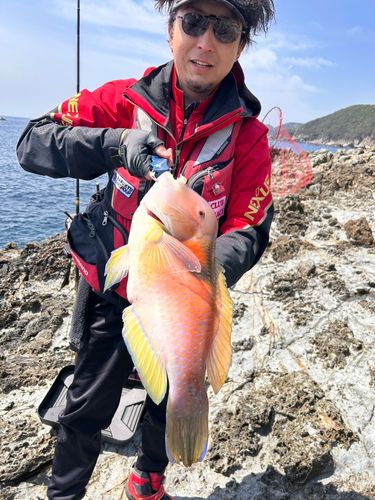 イラの釣果