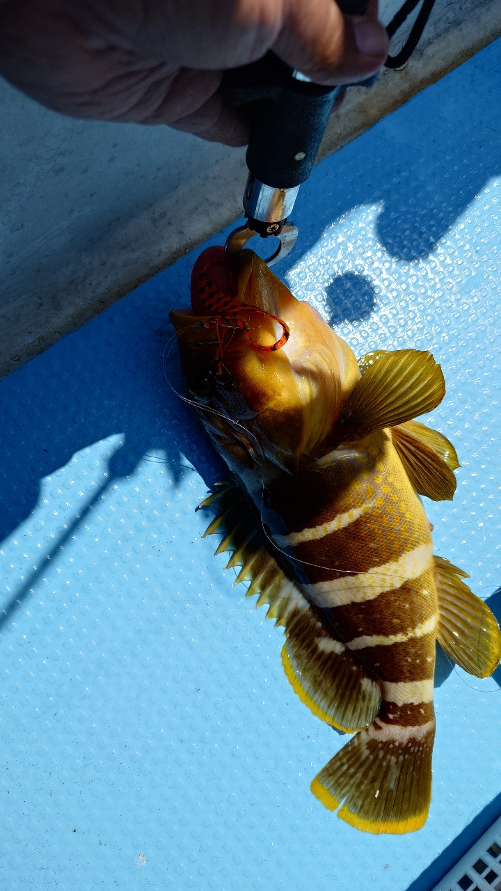 SHIMANO - オシアジガーLJ B65-0/FS シマノ(SHIMANO) オシアジガーインフィニティ B635 370730