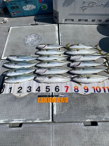 釣果