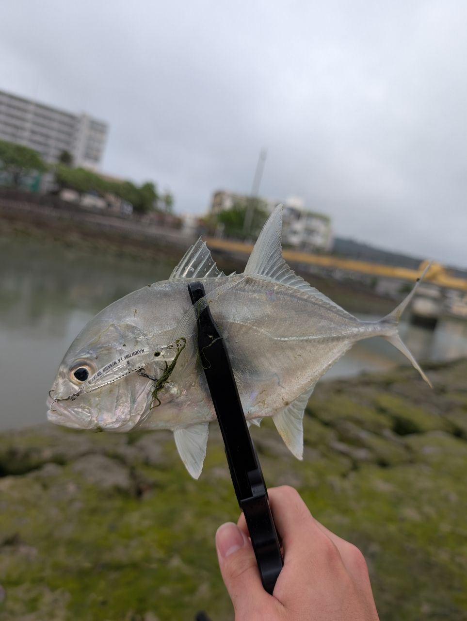 メッキ