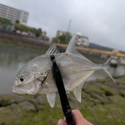 メッキ