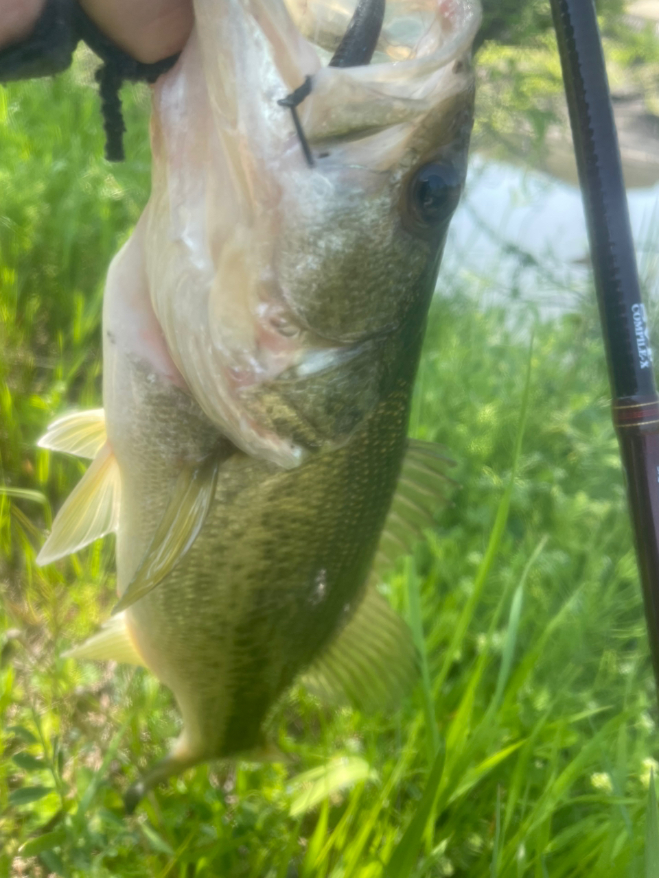DAIWA 13ハートランド AGS 7102L+FS-SV AGS18の最安値・インプレ DAIWA 13ハートランド AGS 7102L+FS-SV AGS18の最安値・インプレ