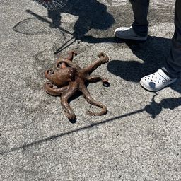 タコ