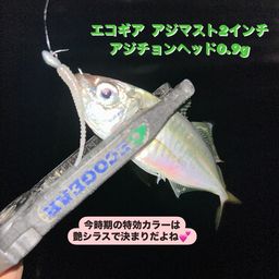アジ