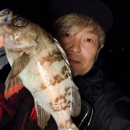 メバル