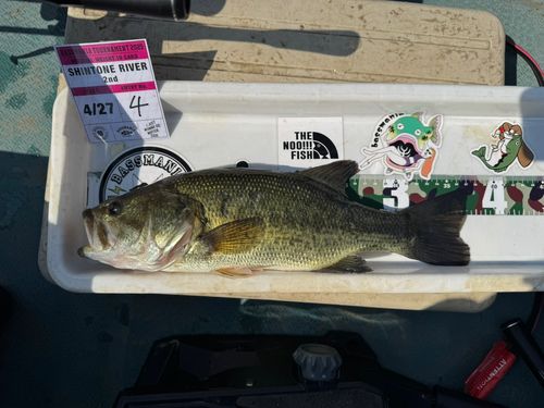 ブラックバスの釣果