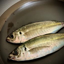 アジ
