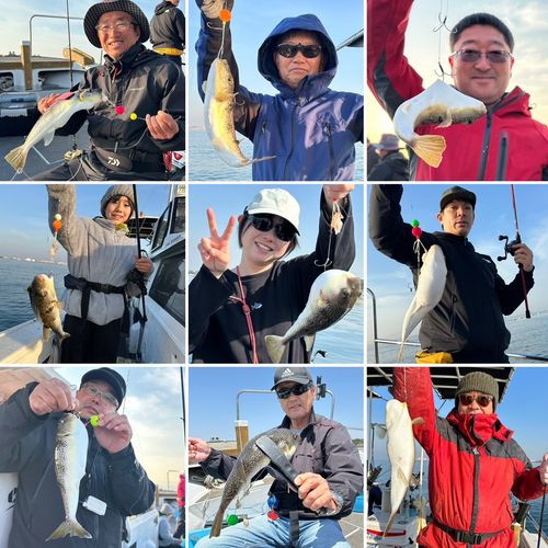 ショウサイフグの釣果