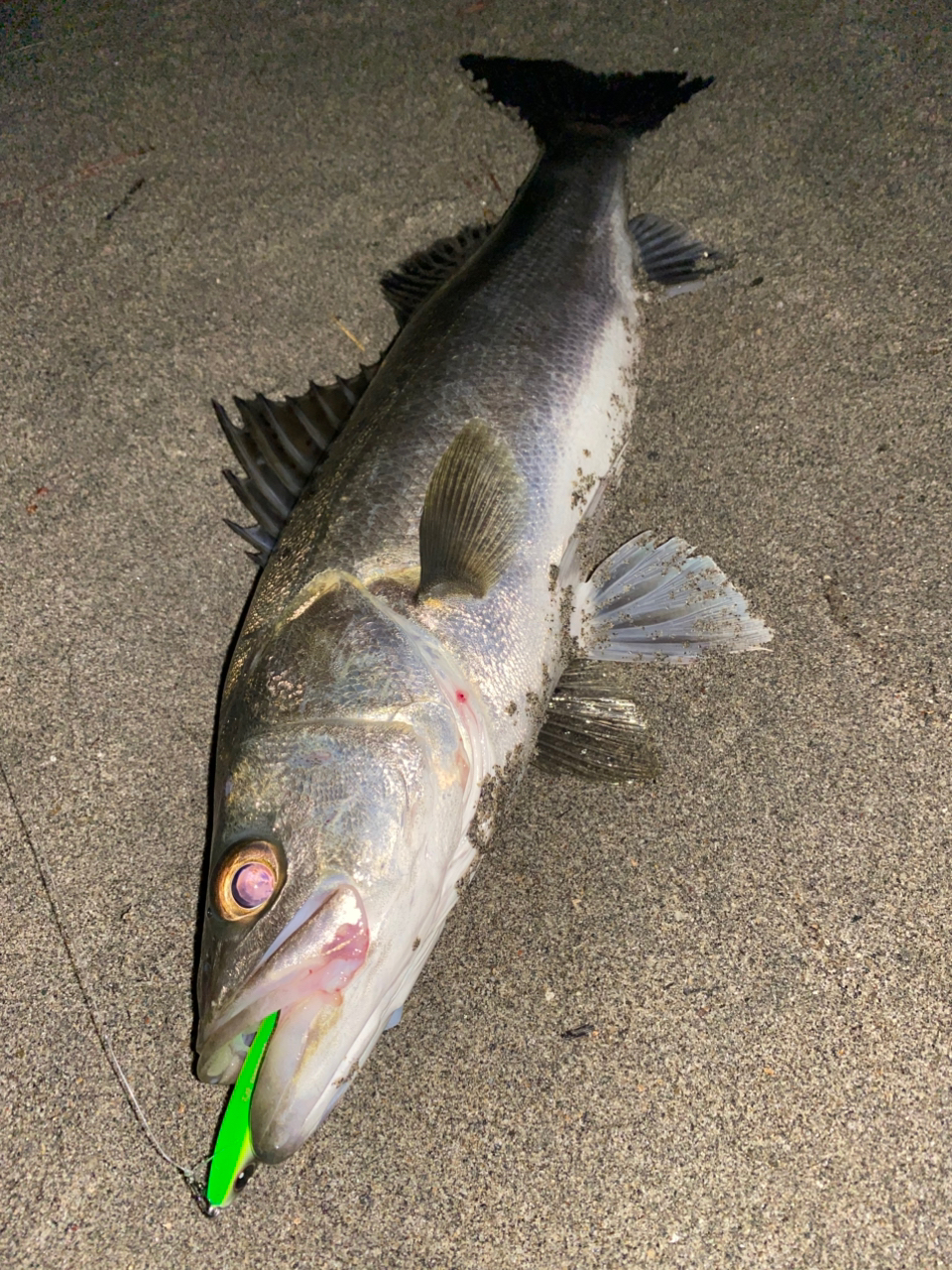 SHIMANO 18エクスセンスジェノス S97MH/Fの最安値・インプレ