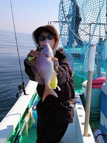 マダイの釣果