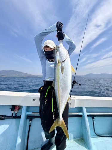 ブリの釣果