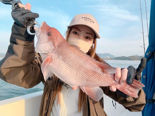 コブダイの釣果