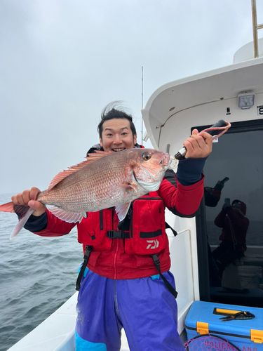 タイの釣果