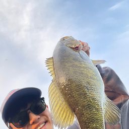 スモールマウスバス