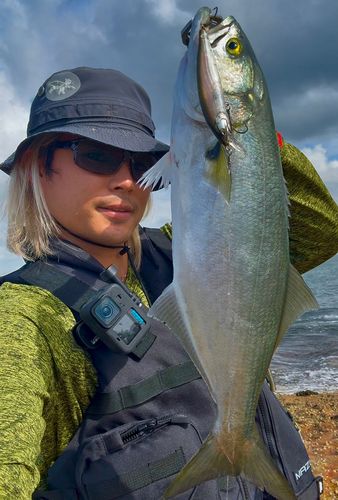 テイラーの釣果