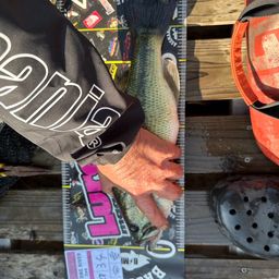 ラージマウスバス